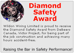 Diamond Safety Award