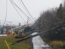 Storm Damage - Thunder Bay