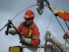 Brett Gifkins, Apprentice